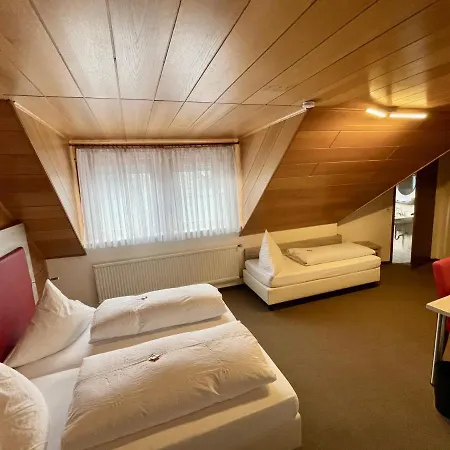 Hotel Balthasar *